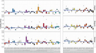 Assessing the impact of wildfires on water quality using satellite remote sensing: the Lake Baikal case study